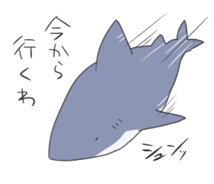 サメ子の日常