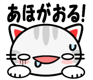 大阪の野良猫♪