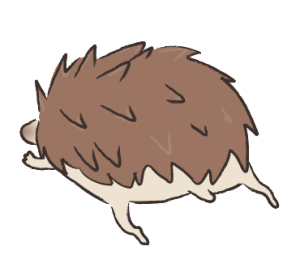 Lemo of the hedgehog